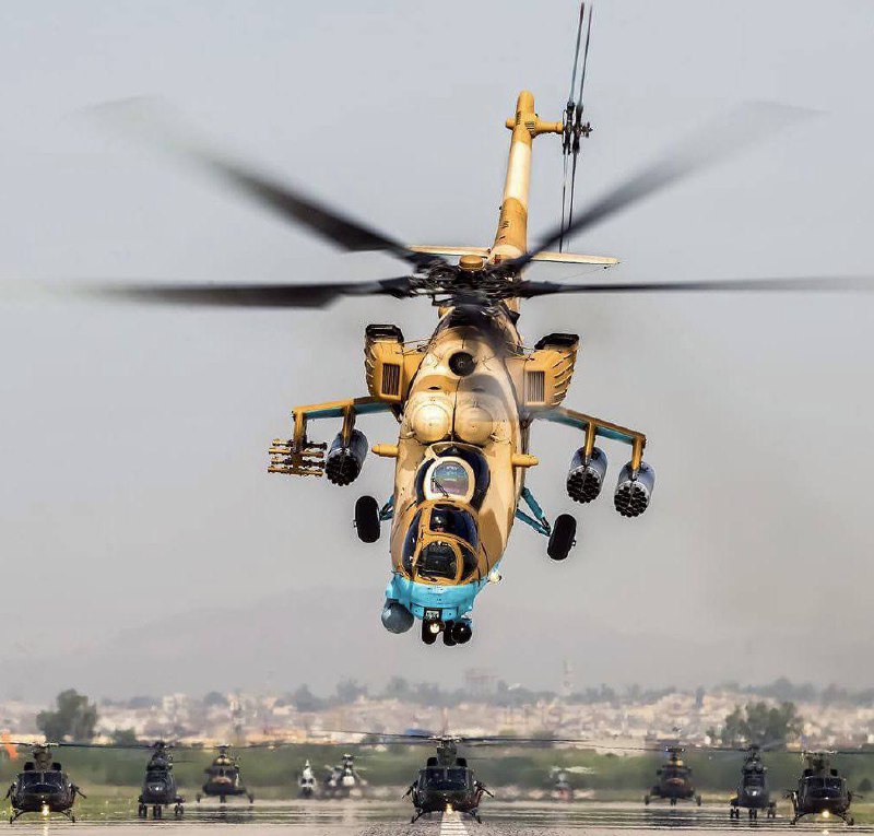 Изображение публикации f117edce-c1f3-4843-a7fb-5612cce2dfea