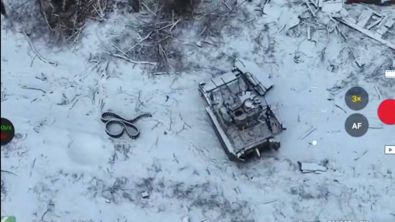 Изображение публикации f1a189f0-6e3e-4215-b884-155317f157b1