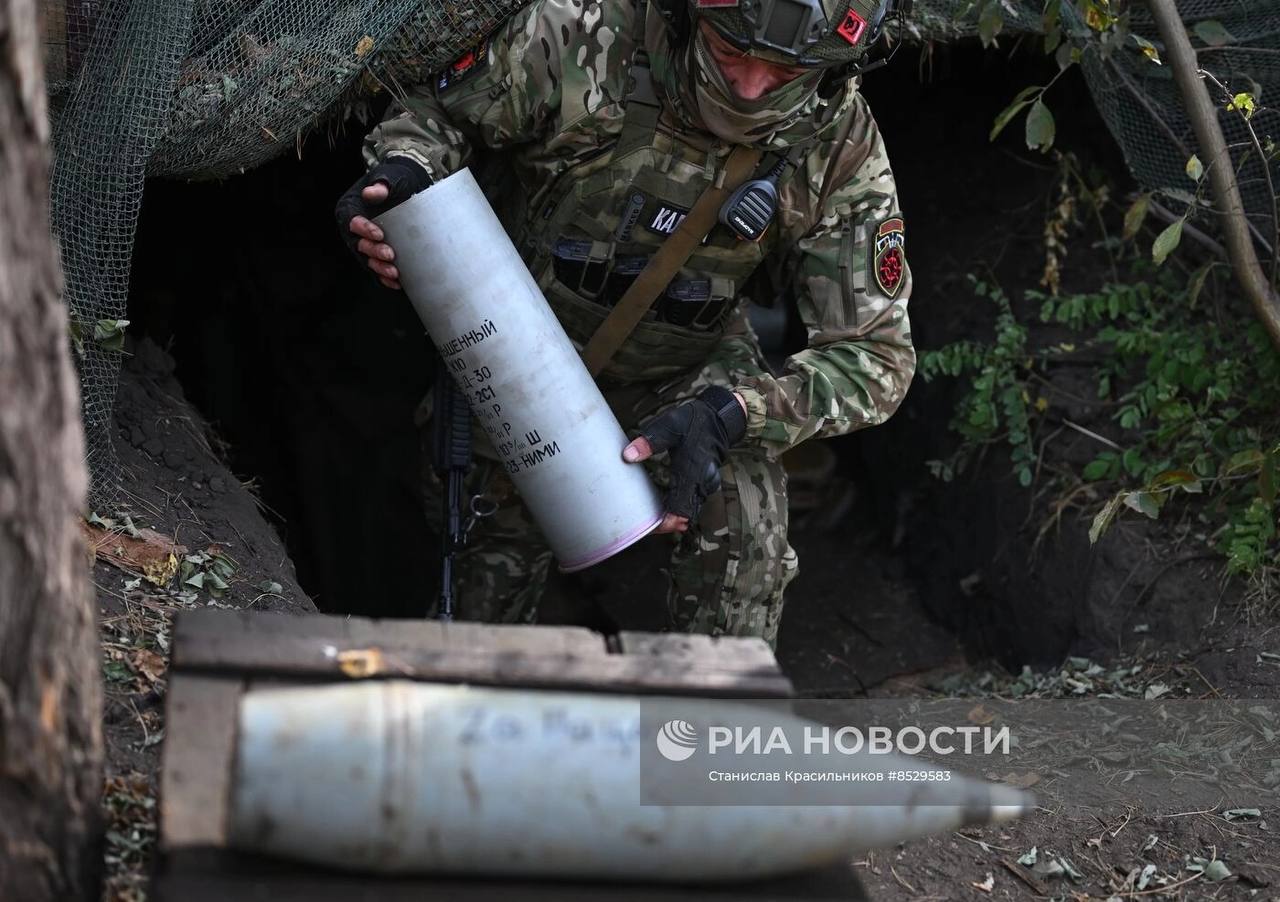 Изображение публикации f3f8a8b3-545b-4fea-8cec-047a57a374cf