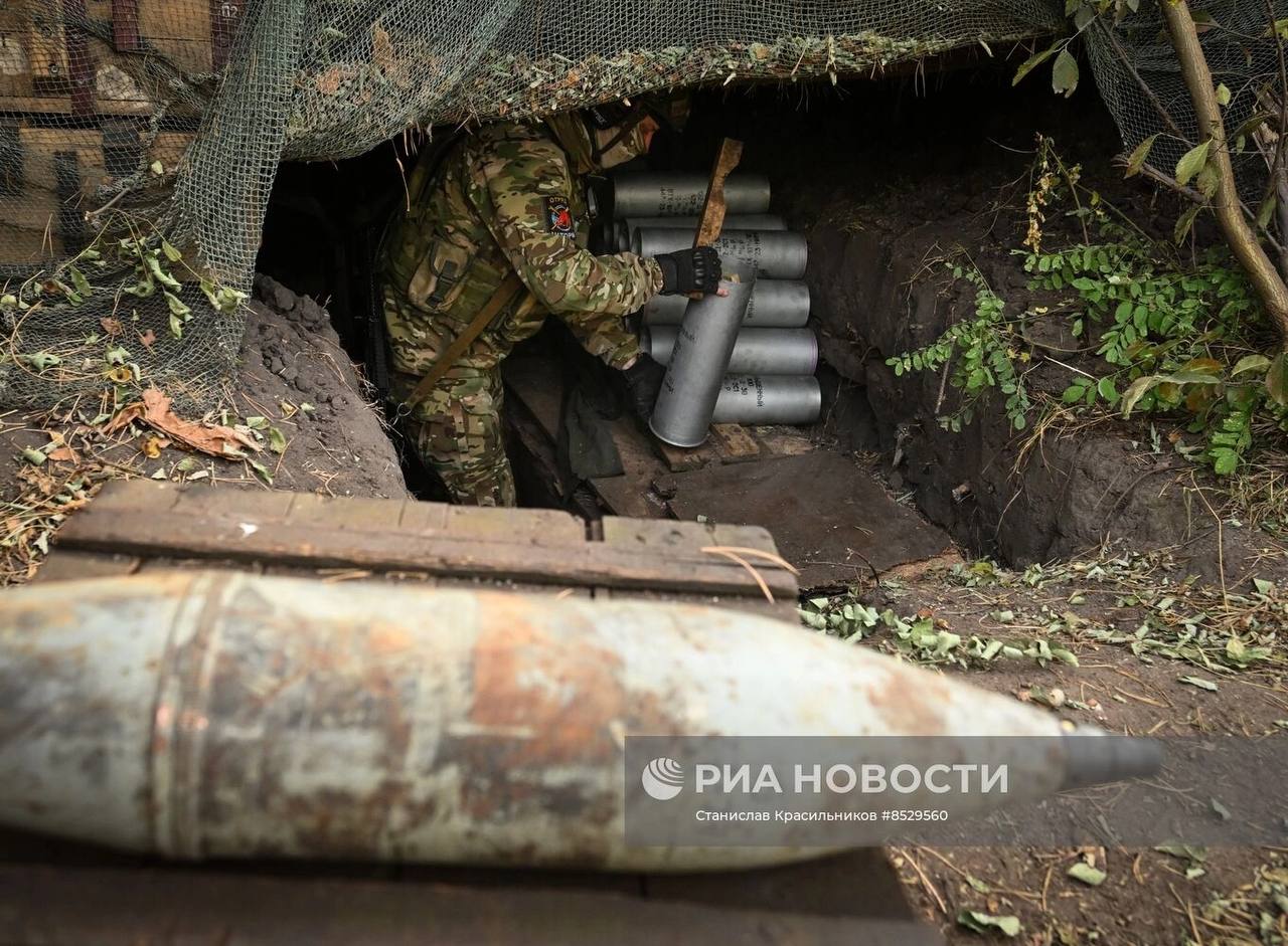 Изображение публикации f3f8a8b3-545b-4fea-8cec-047a57a374cf