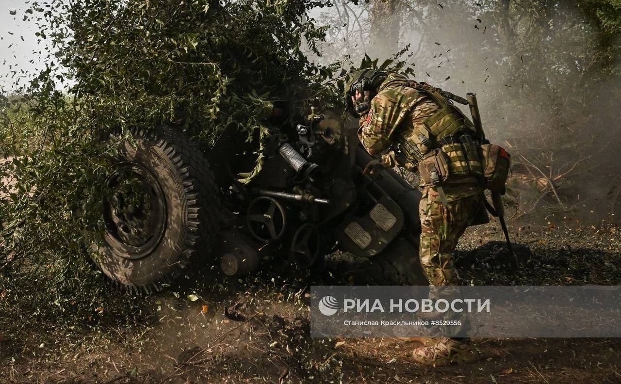 Изображение публикации f3f8a8b3-545b-4fea-8cec-047a57a374cf