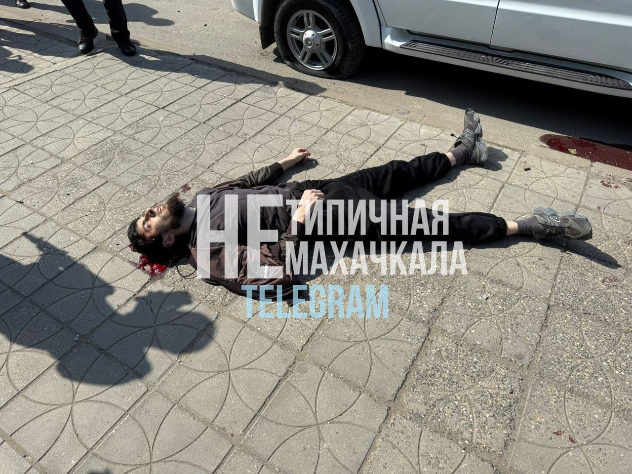 Изображение публикации f459fb9f-74e4-44c8-a0e5-fc04a7f198c1