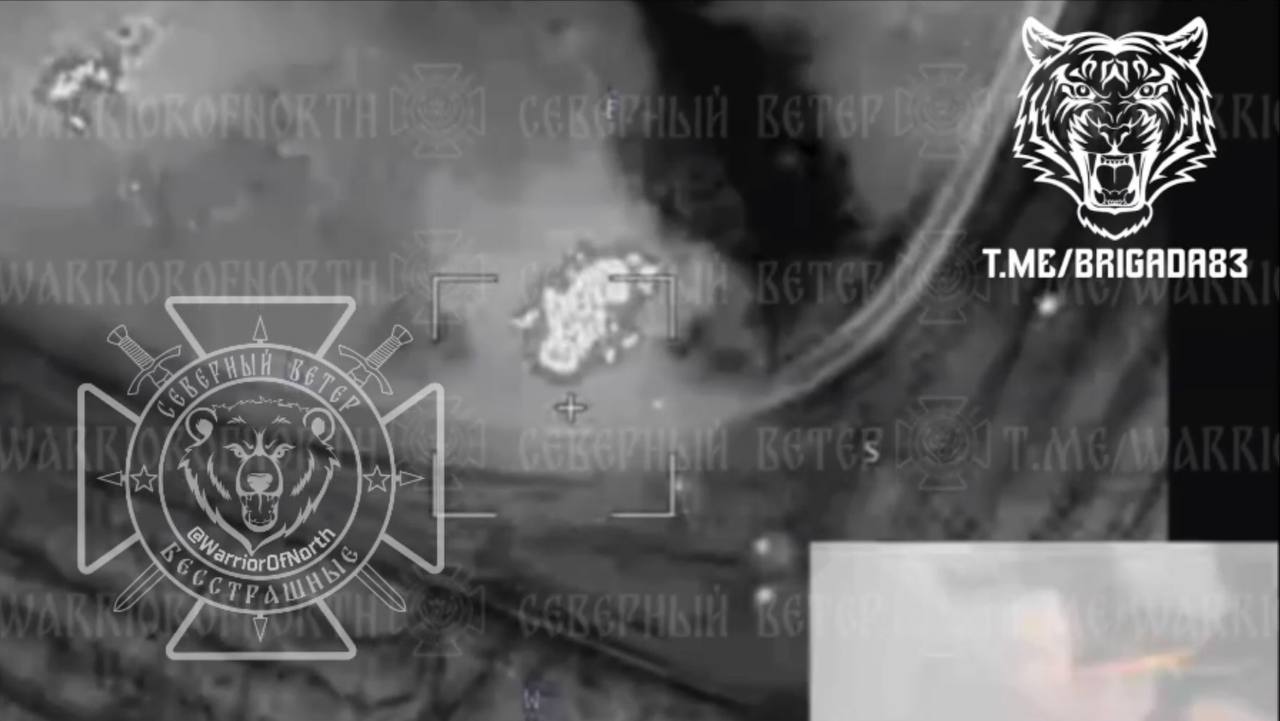 Изображение публикации f539877f-7fa5-4bbf-a0e0-8885db919648