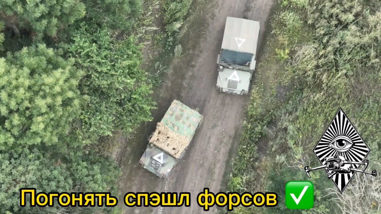 Изображение публикации f5f03b9f-d283-4334-948b-e70928b42ff3