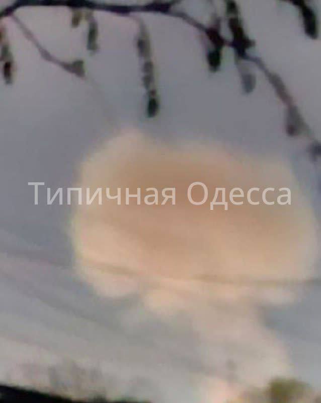 Изображение публикации f61ddab1-e6fa-4582-9610-c1a6908e2eea