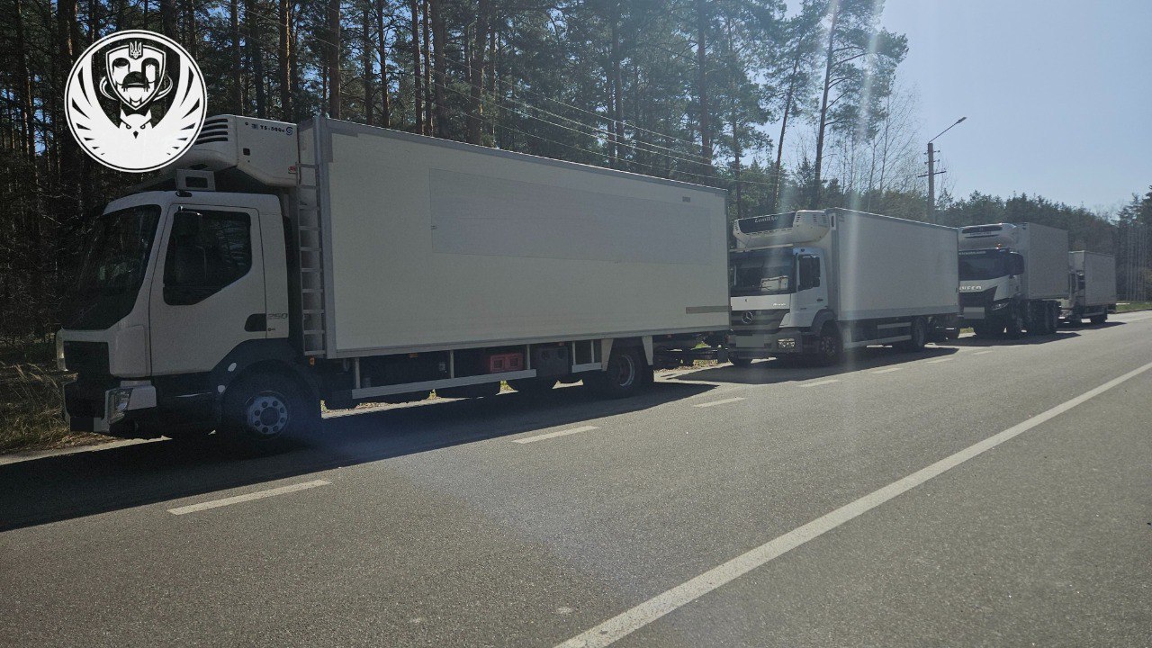 Изображение публикации f6262ffd-9a25-470f-96c8-d9728361bb78