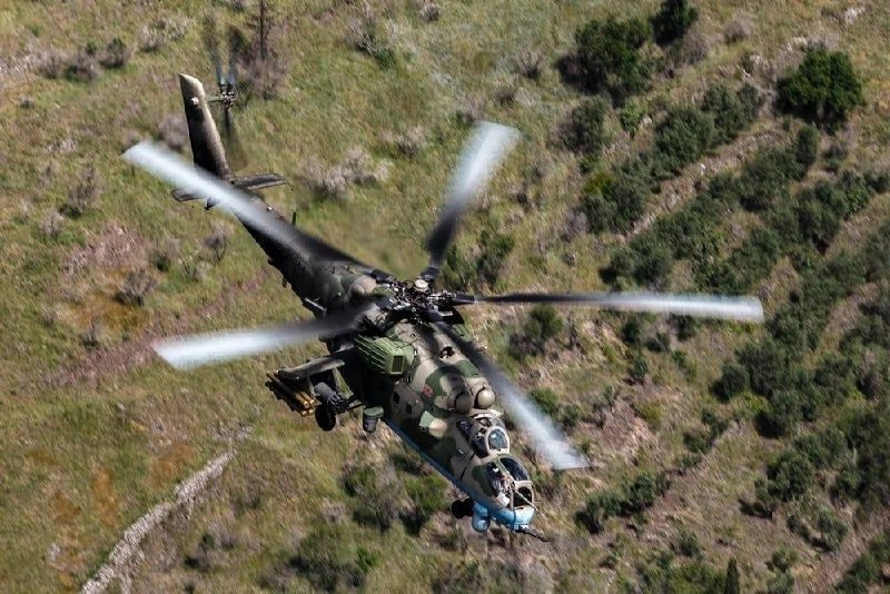 Изображение публикации f63757dd-b6c3-4476-813d-491c2c2a9896