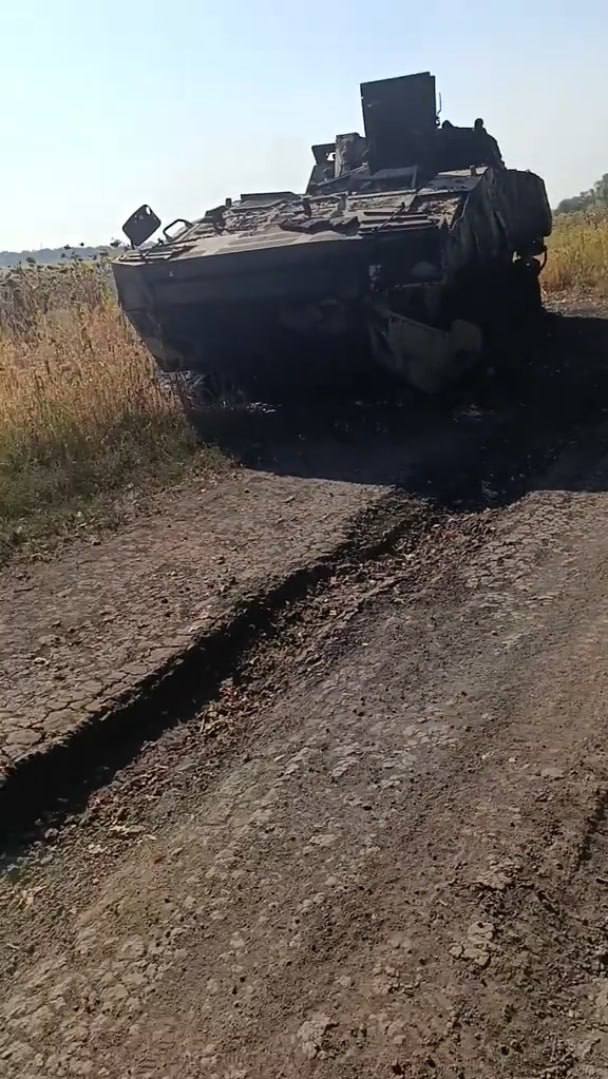 Изображение публикации f70a31c9-b23d-4623-8090-936915f1ab54