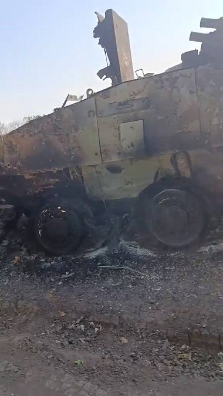 Изображение публикации f70a31c9-b23d-4623-8090-936915f1ab54