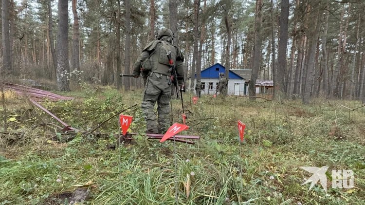 Изображение публикации fd542940-2b2b-46b9-9aef-2e4424d25730