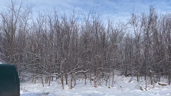 Превью видео