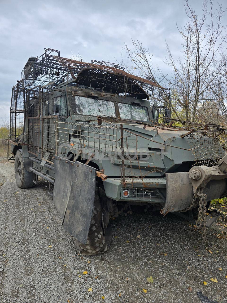 Изображение публикации fef5014d-c9c5-4f6a-b25a-e5a27a4f2ef6