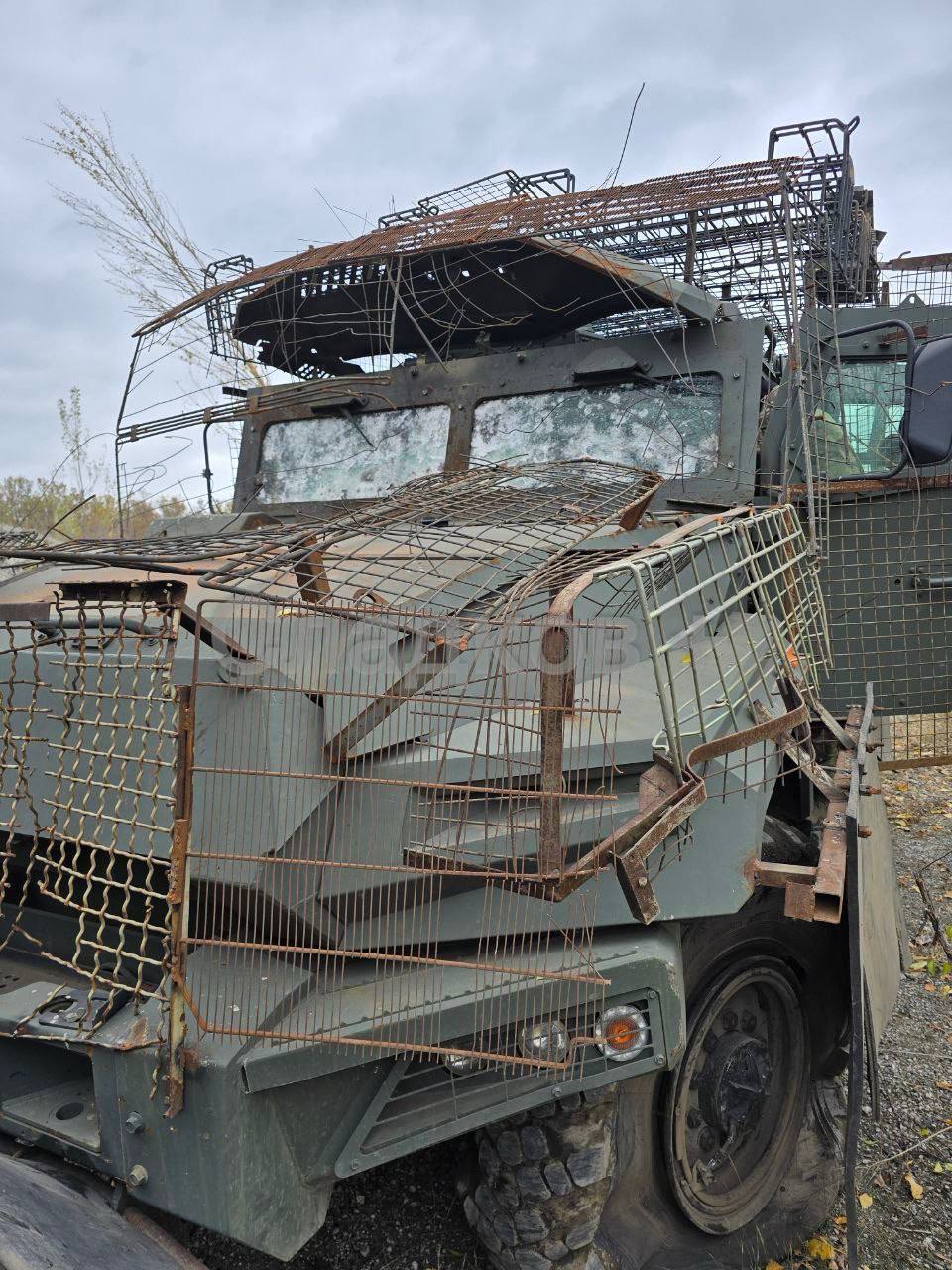 Изображение публикации fef5014d-c9c5-4f6a-b25a-e5a27a4f2ef6