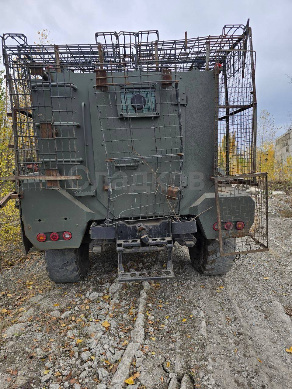 Изображение публикации fef5014d-c9c5-4f6a-b25a-e5a27a4f2ef6