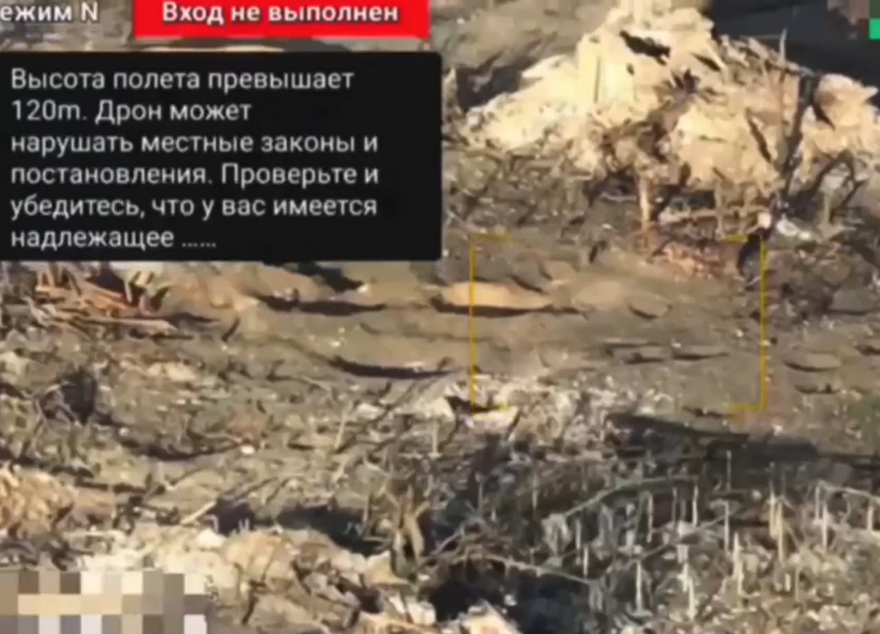 Изображение публикации ff73cef6-9e0b-46c3-b0b7-3a2385c66bdd