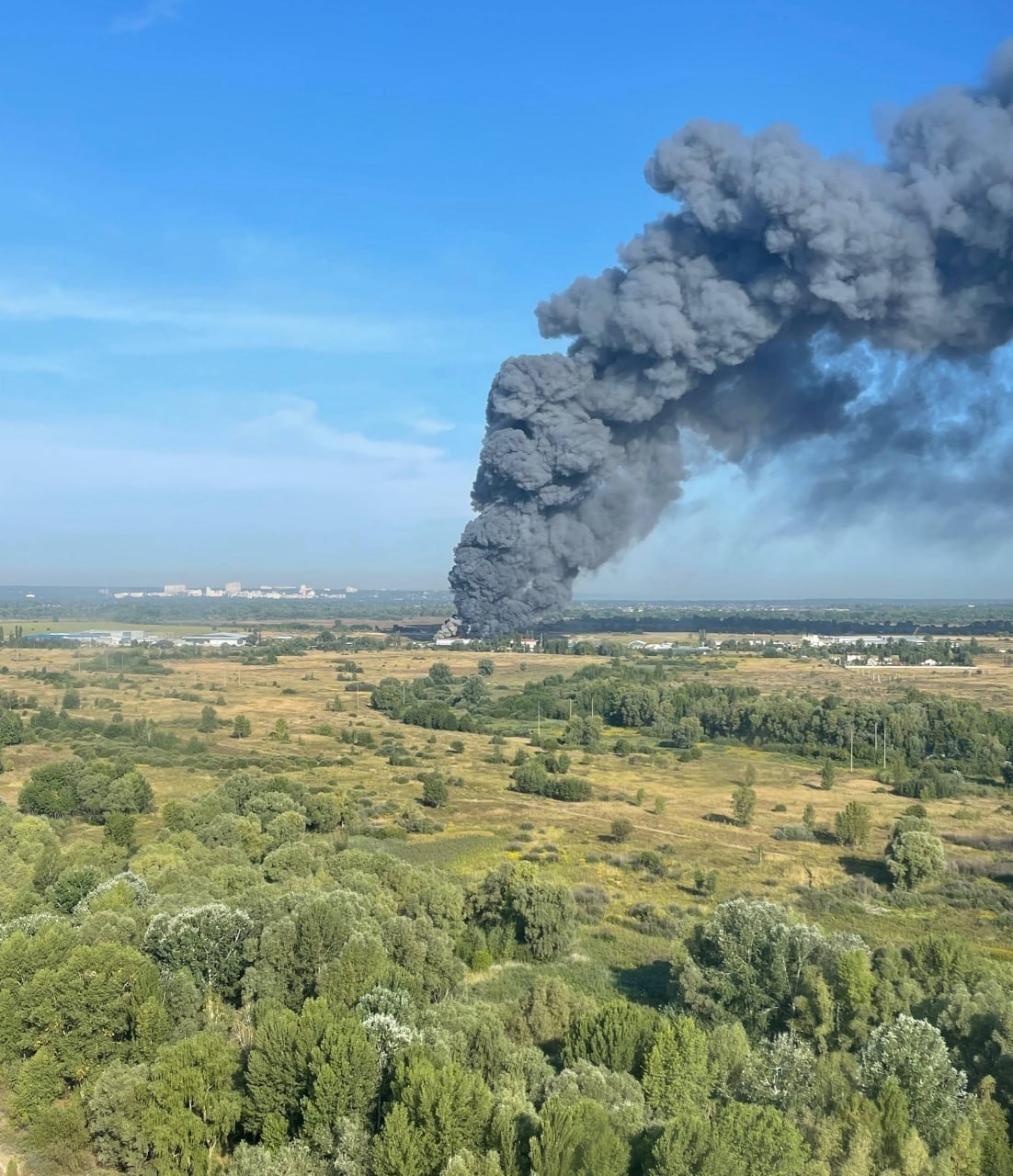 Изображение публикации 20aa9df5-2f5b-4ce5-a25f-6239bbd83f83