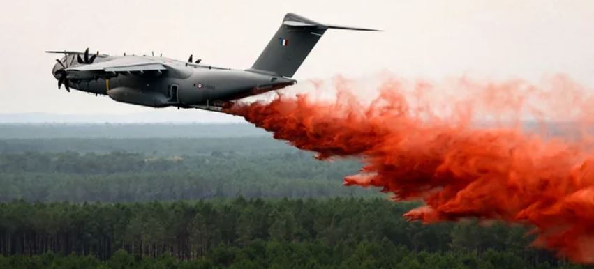 Изображение публикации 33ab75df-6efb-4ed7-9107-5810a0d9c309
