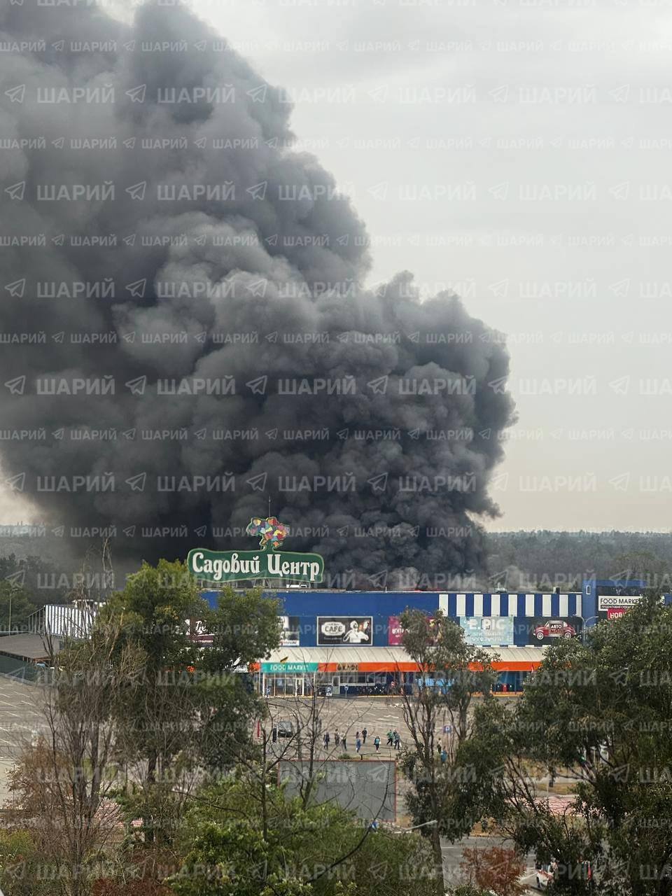 Изображение публикации 37c9d43c-d4da-4424-973f-1e9c300c8e98
