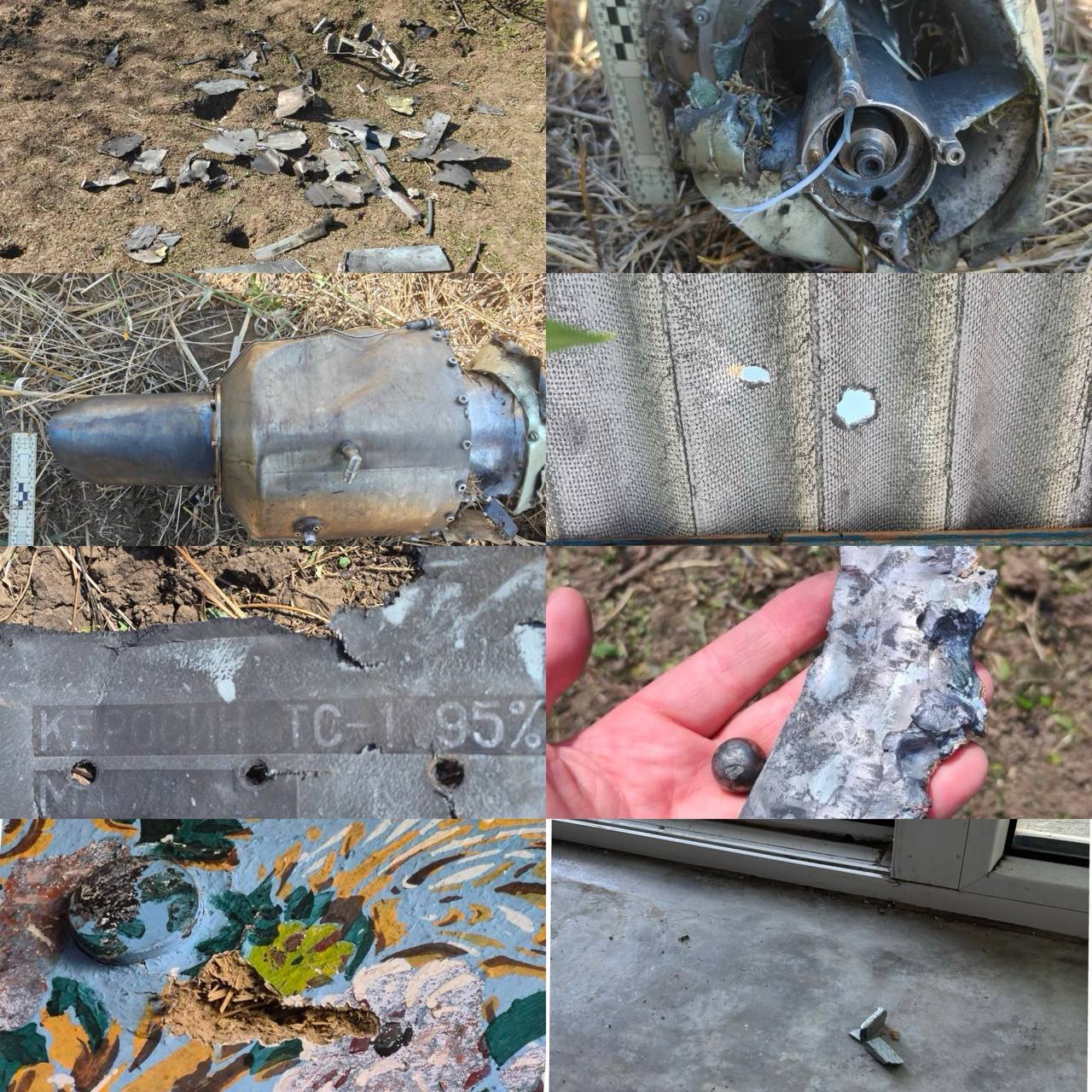 Изображение публикации 3aca613b-83c2-4532-8bde-8d6e753f5fa0