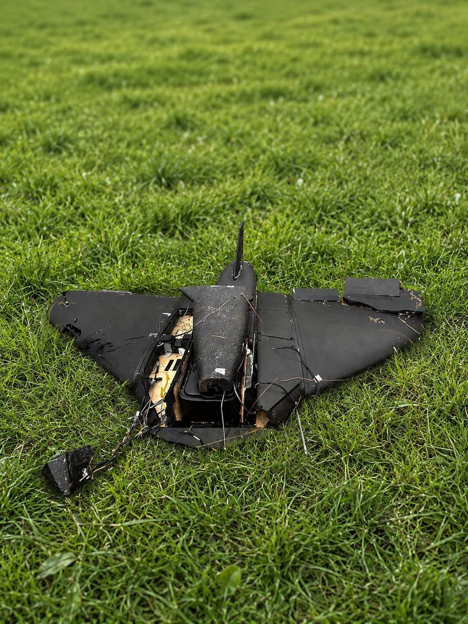 Изображение публикации 4590f749-acd5-4840-ad6c-8e513639f002