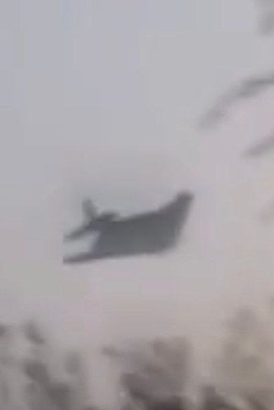 Изображение публикации 4a0ef6d4-e22f-4e4a-912d-a221a460f247