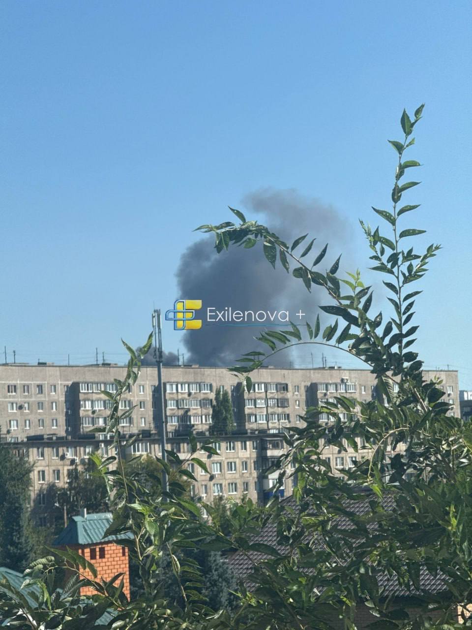 Изображение публикации 540149da-9f6a-47ea-bcf8-7a1978c7573b