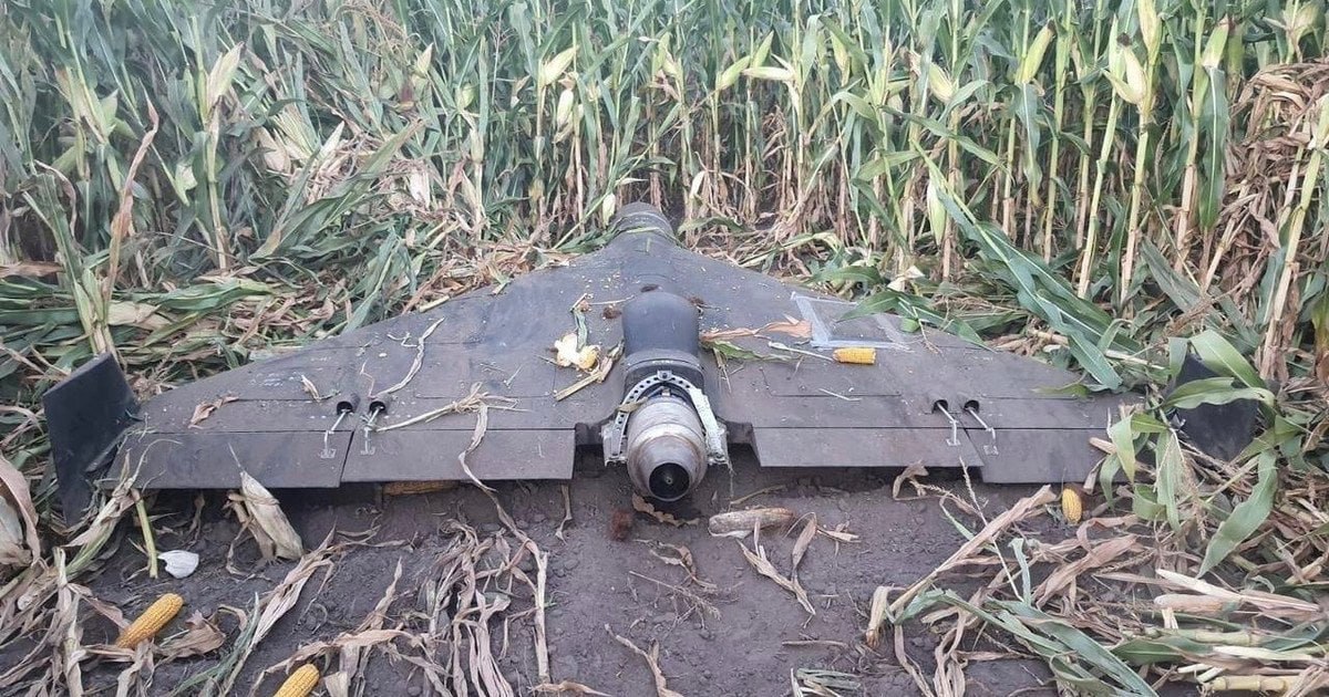 Изображение публикации 63af059f-47ad-447f-a88b-0d978344a5ad