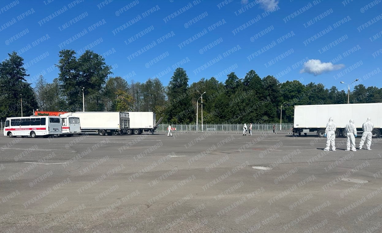 Изображение публикации 767fe140-54ae-4fd9-8f19-21f2622d0496