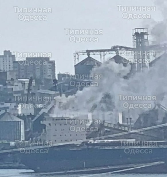 Изображение публикации 7d72b55e-e88b-4a90-adb5-6ff08ef92089