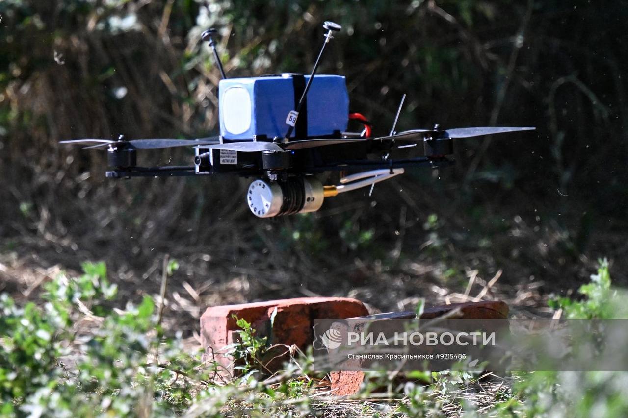 Изображение публикации 9bf5010b-d04f-4751-a0e9-9d340e4baeca