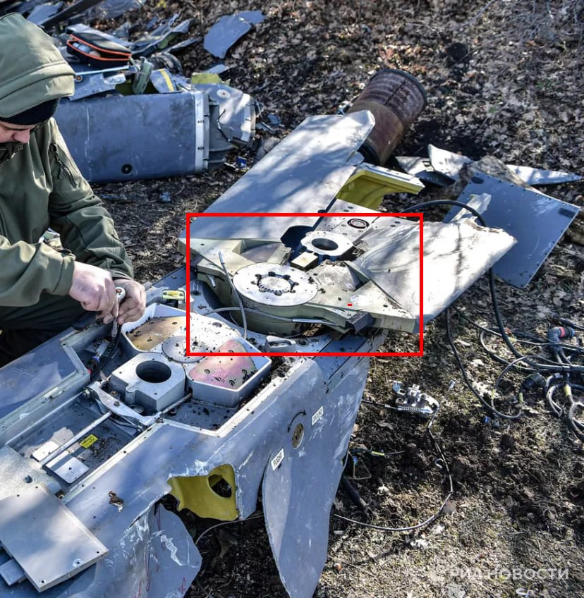 Изображение публикации 9d5b8b64-c563-41cc-a071-39ec86c31116