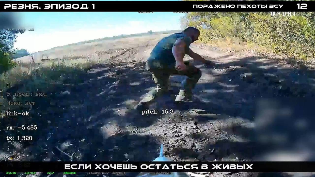 Изображение публикации a922c41b-bdd9-4d2c-9fb5-2d386ba7892e