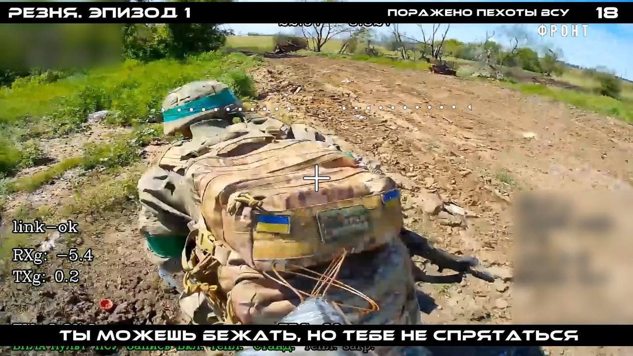 Изображение публикации a922c41b-bdd9-4d2c-9fb5-2d386ba7892e