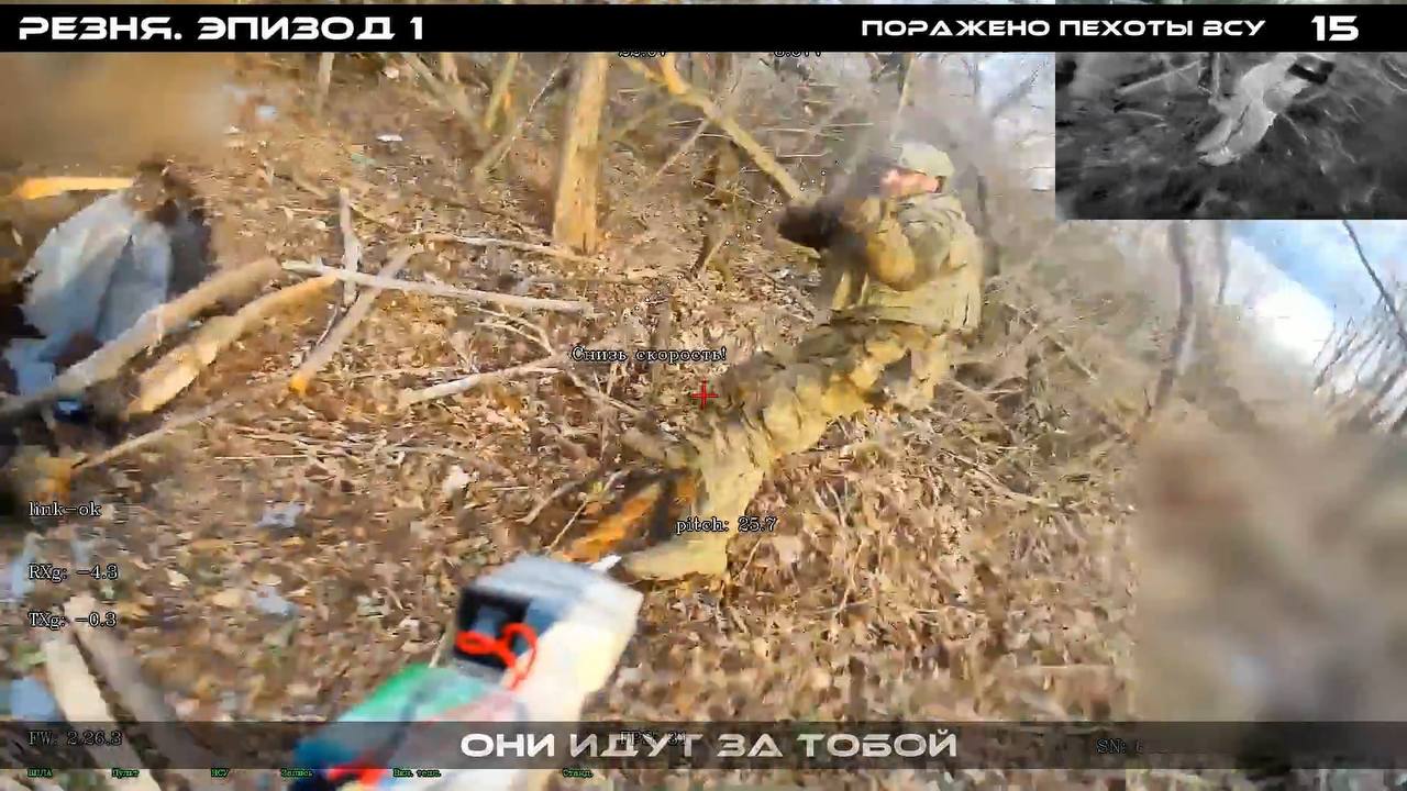 Изображение публикации a922c41b-bdd9-4d2c-9fb5-2d386ba7892e