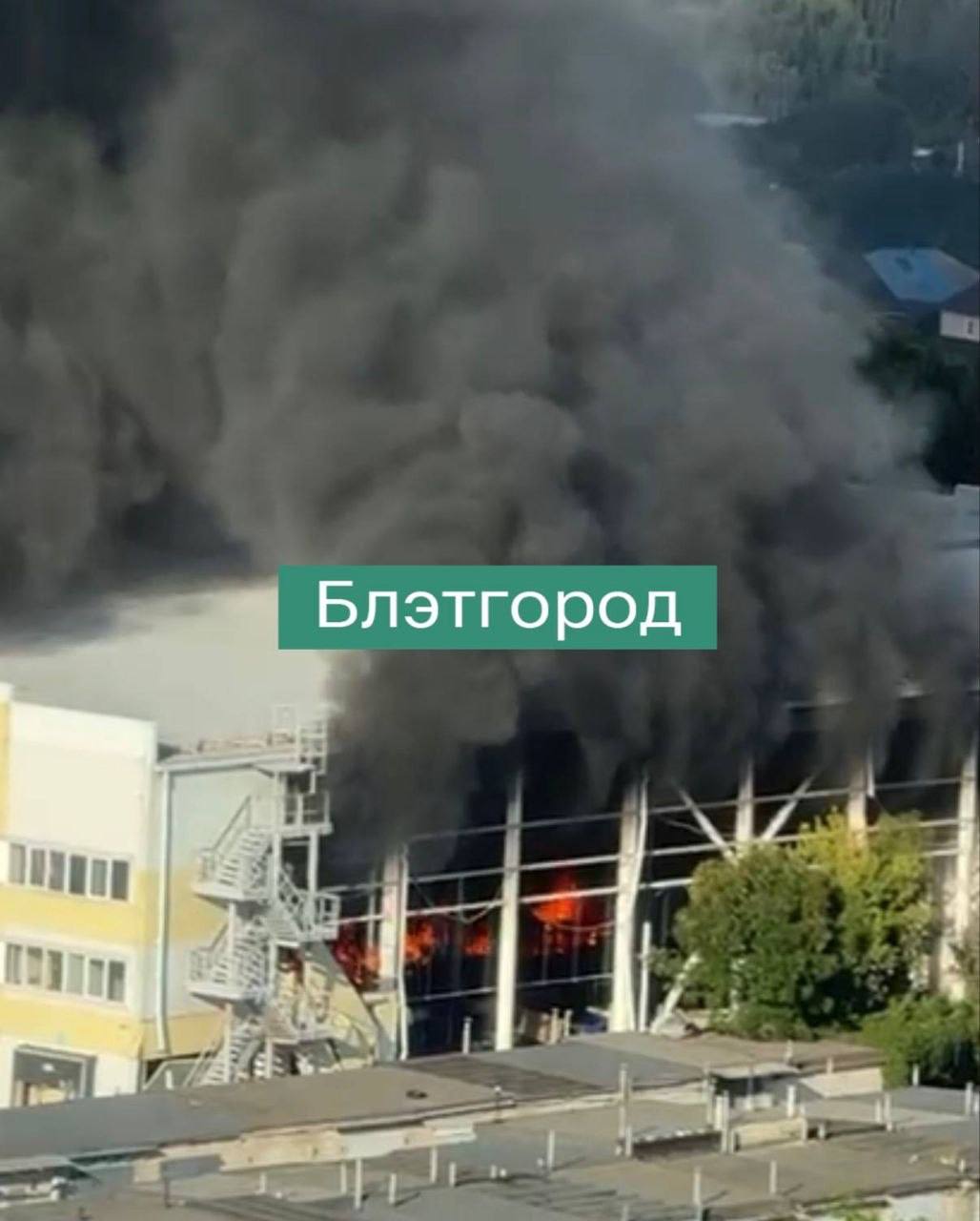 Изображение публикации b0c82407-d4d1-4047-933f-96c3bd4152d9
