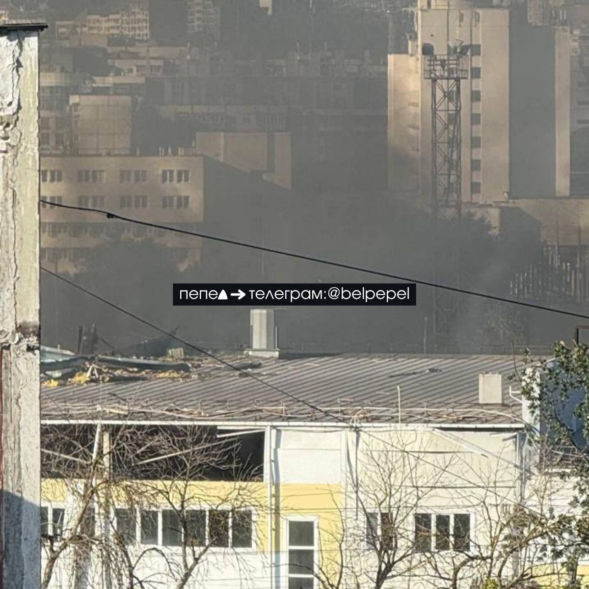 Изображение публикации b0c82407-d4d1-4047-933f-96c3bd4152d9