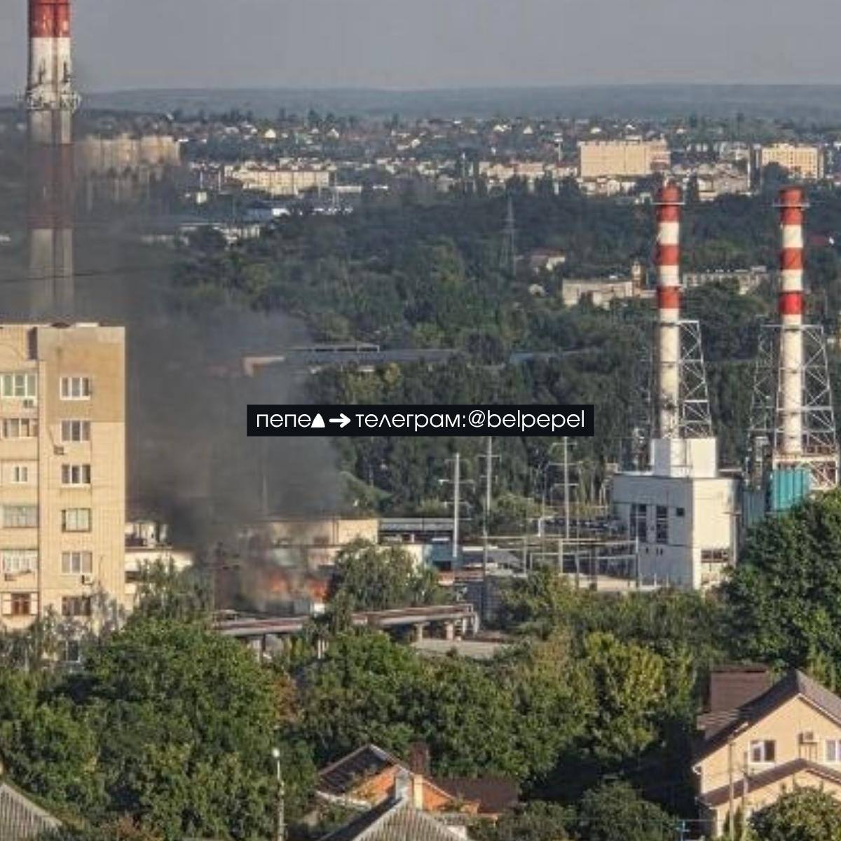 Изображение публикации b0c82407-d4d1-4047-933f-96c3bd4152d9