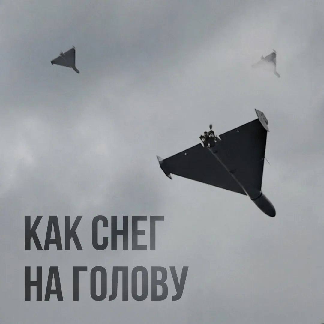 Изображение публикации be2b81e3-c28a-4c88-b395-e3639dfad6e0