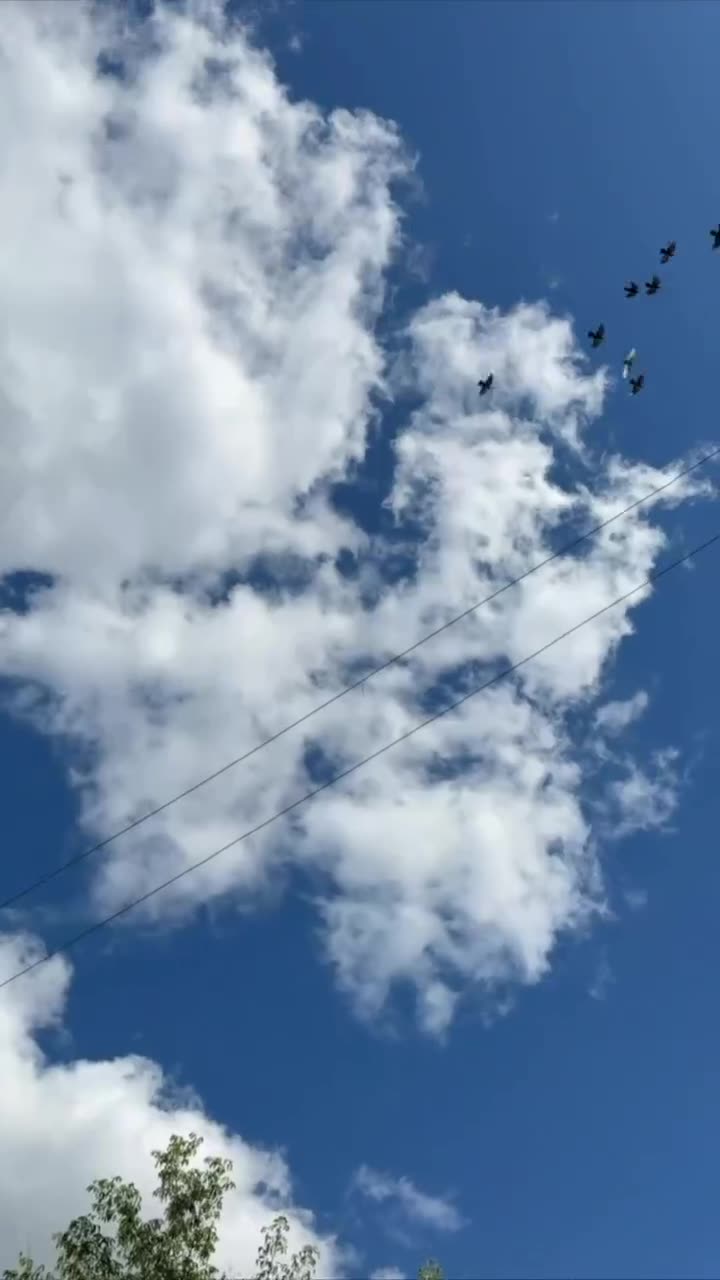 Превью видео