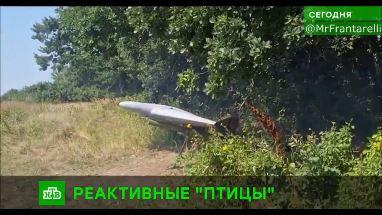 Изображение публикации e54bc2ad-9995-487c-9cd6-f513c8383478