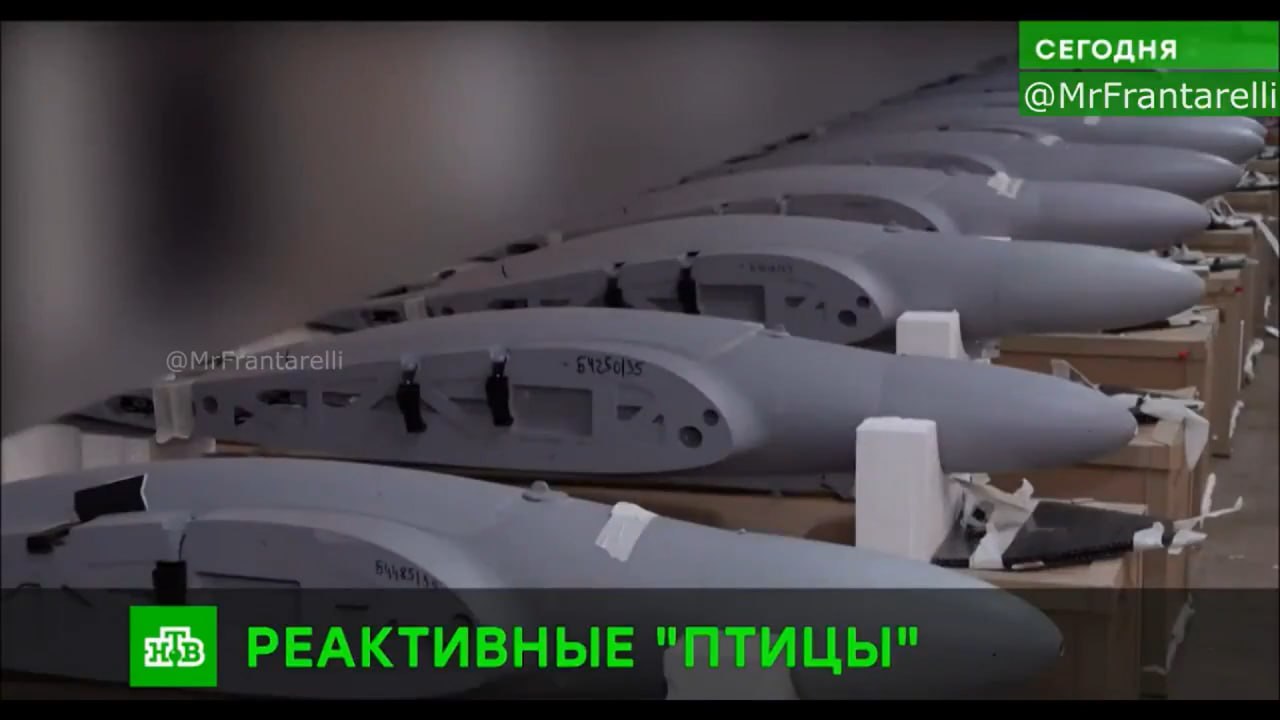 Изображение публикации e54bc2ad-9995-487c-9cd6-f513c8383478