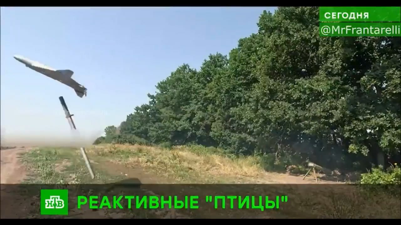 Изображение публикации e54bc2ad-9995-487c-9cd6-f513c8383478
