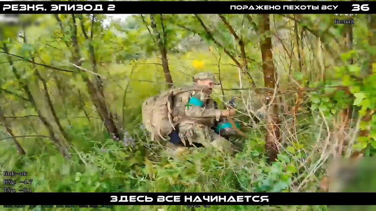 Изображение публикации e71968aa-3b6e-4594-9c16-de410483ce86