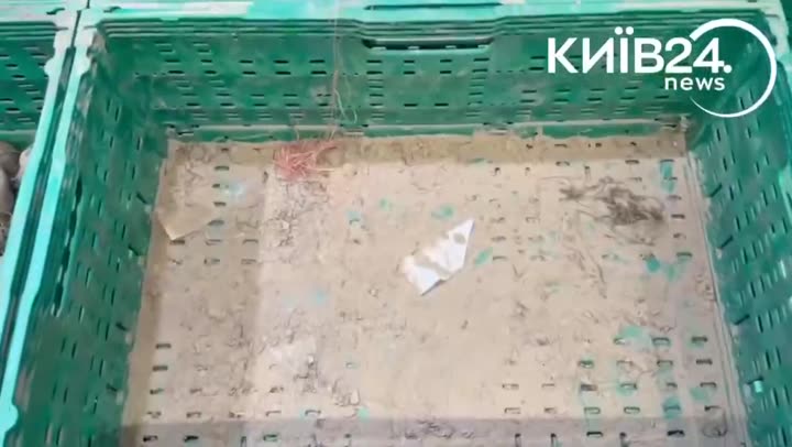 Превью видео