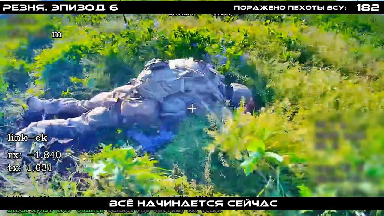 Изображение публикации f3d1e359-b2a2-4f1e-b19b-3cbcf6b00ded