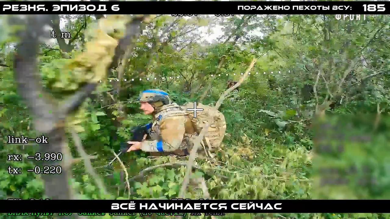 Изображение публикации f3d1e359-b2a2-4f1e-b19b-3cbcf6b00ded