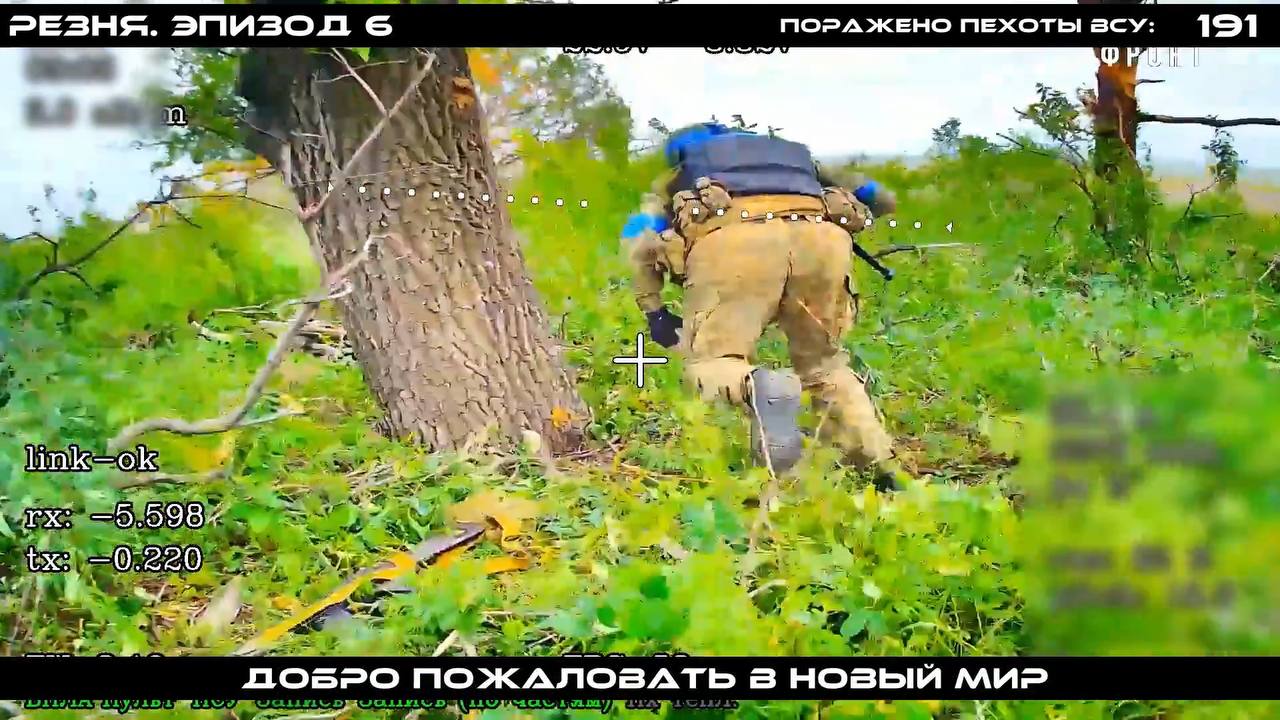 Изображение публикации f3d1e359-b2a2-4f1e-b19b-3cbcf6b00ded