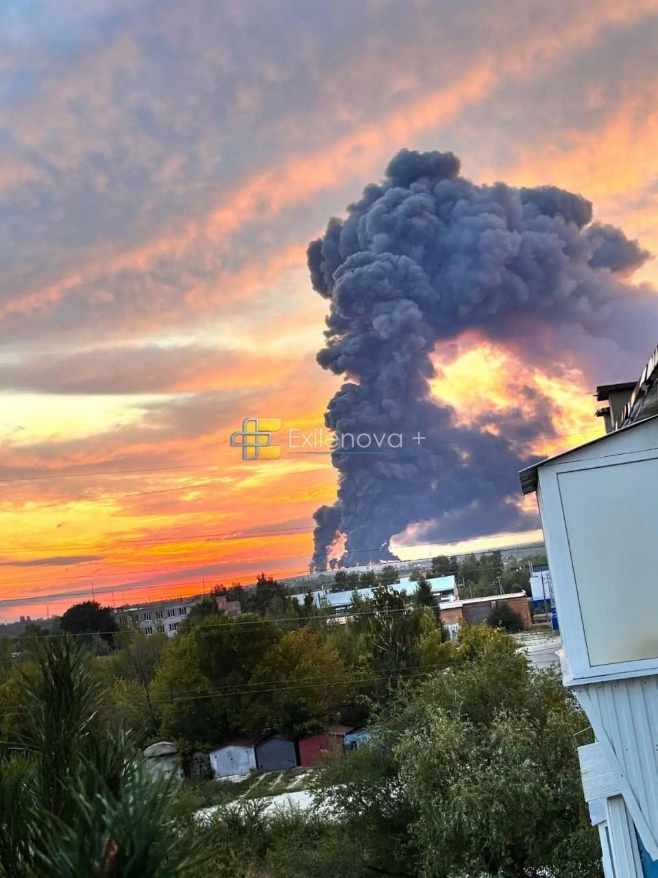 Изображение публикации f43485ea-e3f4-481c-9efa-9e530eaaad70