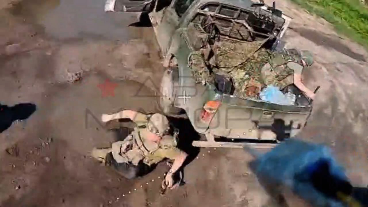 Изображение публикации f5b0a228-9d6a-4842-982d-0fe02626fe0c