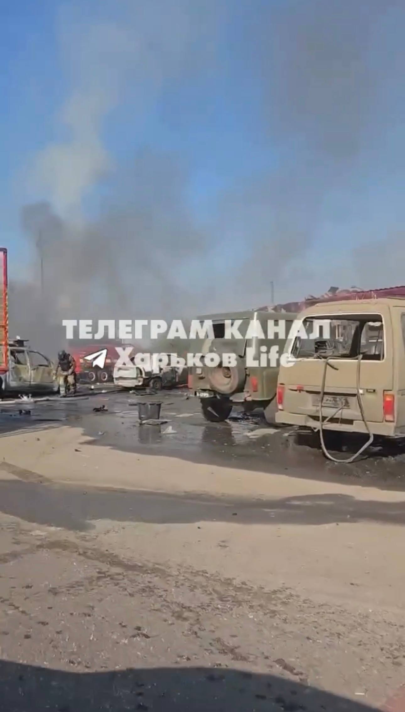 Изображение публикации f69bd7cc-60d2-4cf7-8e71-8880057c453c